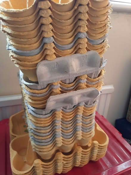 Photo of free 30 egg boxes (Linslade LU7) #1