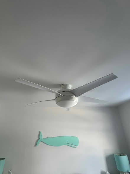 Photo of free 4 ceiling Fans (Feltzen South) #1