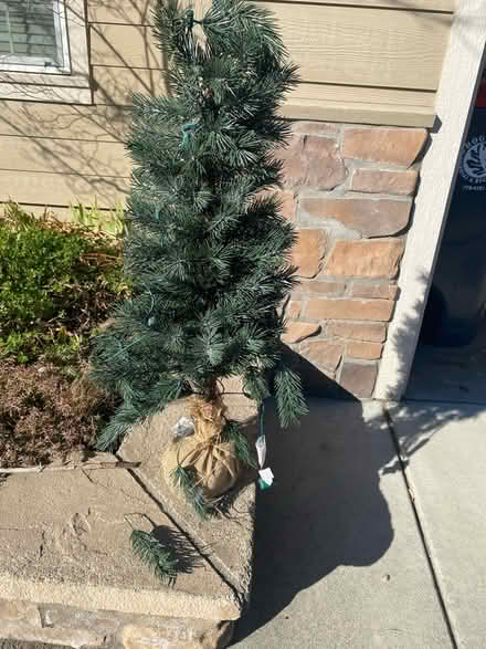 Photo of free Sm Christmas tree (Near Roxy Ann Winery) #1