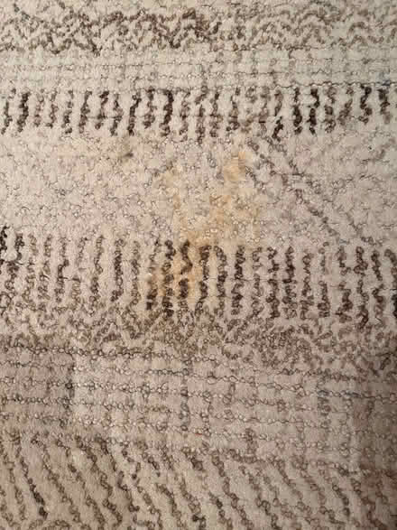 Photo of free wool rug (Between 3rd line & Bronte) #3
