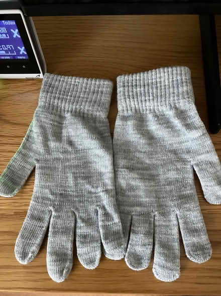 Photo of free Grey jumper and grey gloves (Chorley Moor PR7) #4