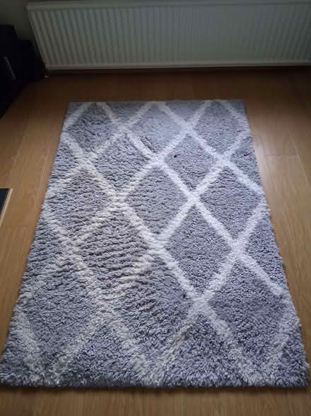 Photo of free Large grey livingroom rug (BT8) #1