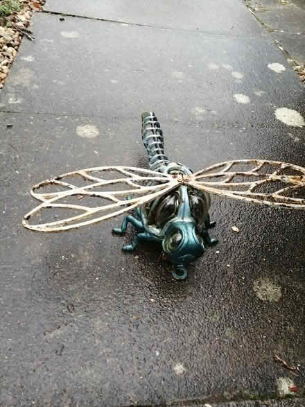 Photo of free Dragon fly (MK14 Great Linford) #1