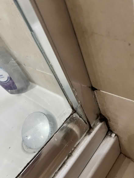 Photo of free shower enclosure (Aldwick) #2