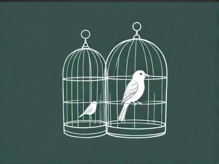 Photo of Bird cage (Condover SY5) #1