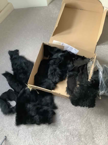 Photo of free Bag of sheepskin offcuts (Bear Flat) #1