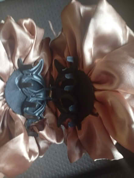 Photo of free Fancy hair clip (East London) #2