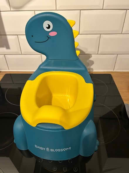 Photo of free Dinosaur potty (Chorley PR6) #1