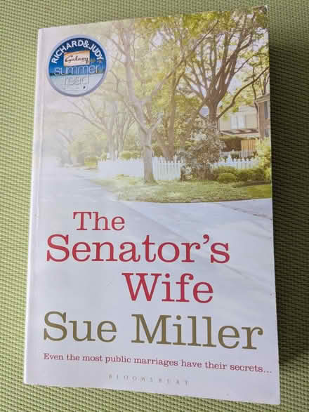 Photo of free The Senator's Wife Book (Beulah Hill SE19) #1