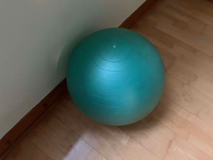 Photo of free Gym Ball (Juniper Green EH13) #2