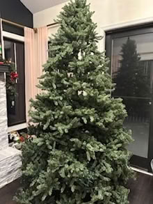 Photo of free Christmas Tree-artificial (Farmington) #3