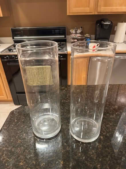 Photo of free 2 Glass Cylinder Vases (Rochester) #1
