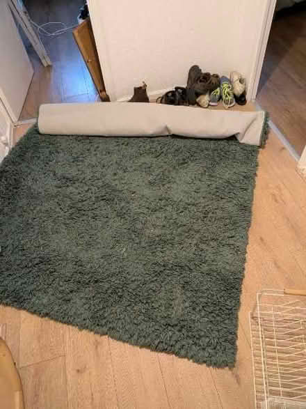 Photo of free 5ft by 7ft green rug (Moor Allerton LS17) #1