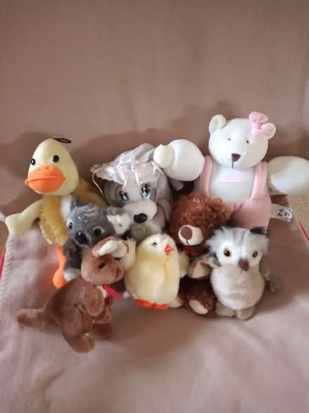 Photo of free Soft toys without CE mark (Maidenhead SL6) #1