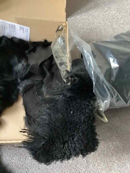 Photo of free Bag of sheepskin offcuts (Bear Flat) #3