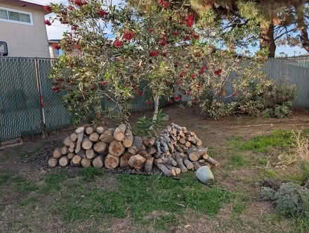 Photo of free Firewood? (Hawthorne) #1