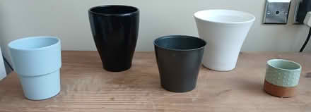 Photo of free House plant pots (Hampden park) #2