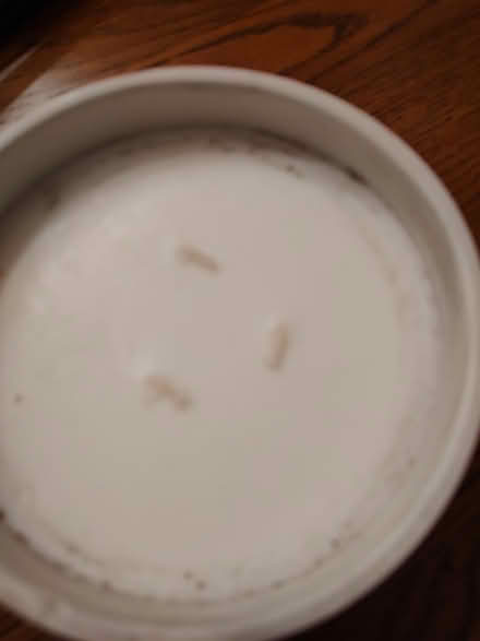 Photo of free Citronella candle (Odenton) #3
