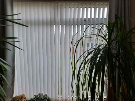 Photo of free Vertical Venetian Blinds (Mortonhall EH17) #2