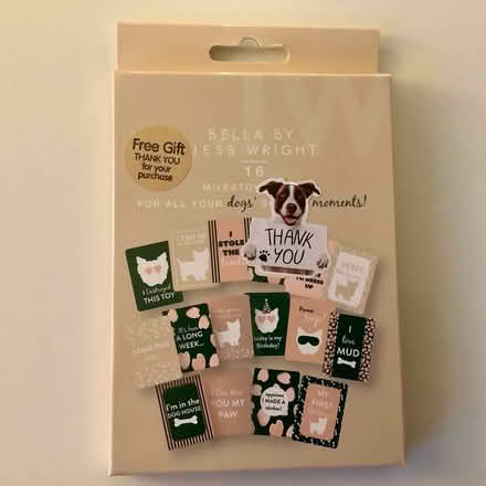 Photo of free Dog’s 1st yr . 16 milestone cards (RH15) #1