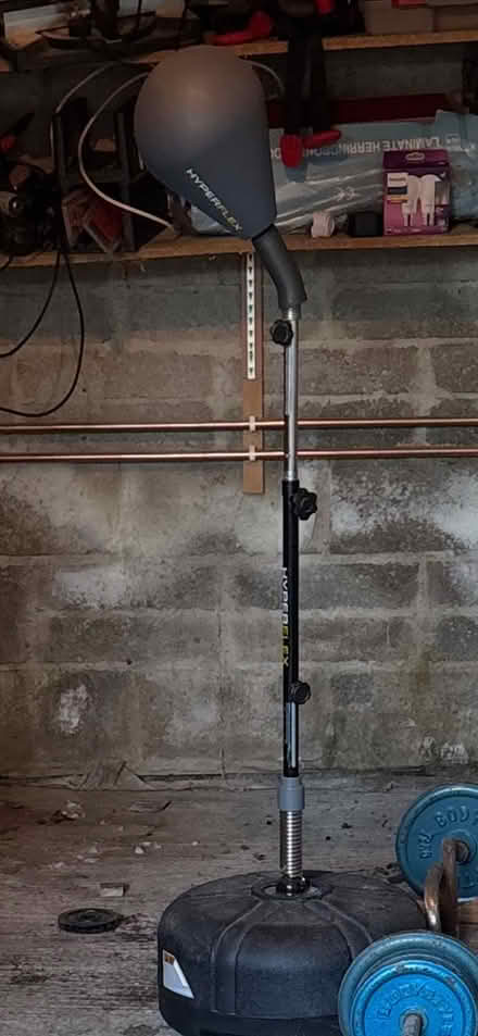 Photo of free Bunch ball (Dalkey) #1