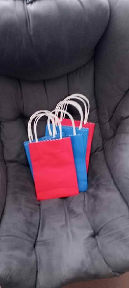 Photo of free Paper bags with handles (Queensferry CH5) #1