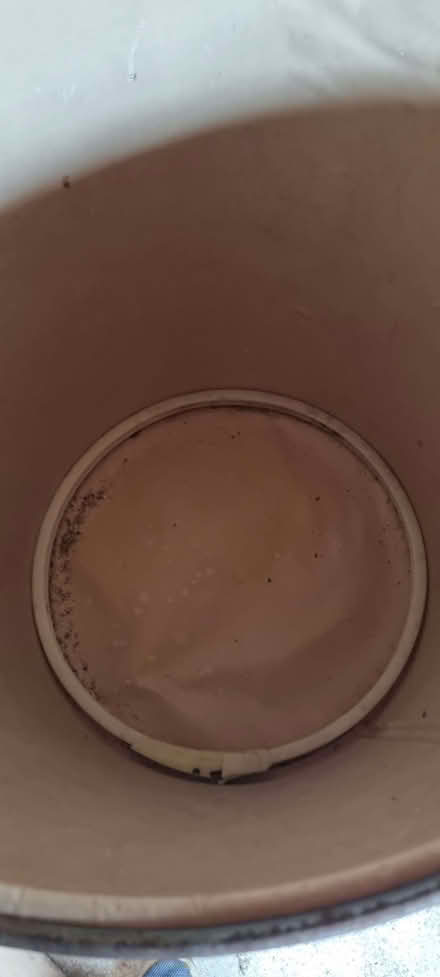 Photo of free Storage Barrel (Southborough BR2) #3