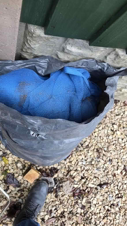 Photo of free Garden Netting (Odsal Top BD6) #1