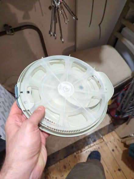 Photo of free Salad spinner top (Osney OX2) #2