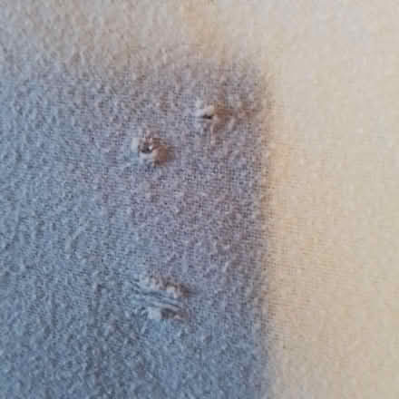 Photo of free Double Flat Flannel Sheet (Uplands / Riverside) #2