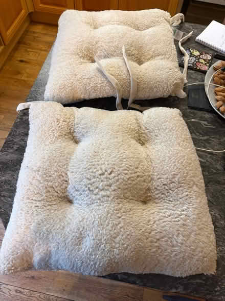 Photo of free Two square cream chair pads (Lostock Hall PR5) #1