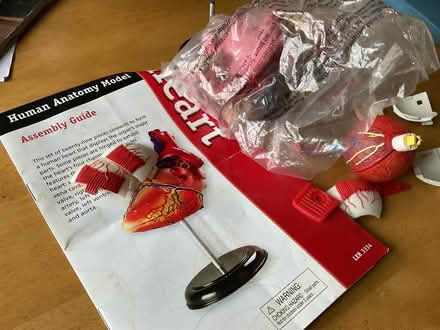 Photo of free Models (Blythe Bridge ST11) #2