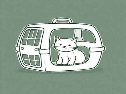 Photo of Cat carrier (Allenton DE24) #1