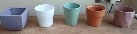 Photo of free House plant pots (Hampden park) #1
