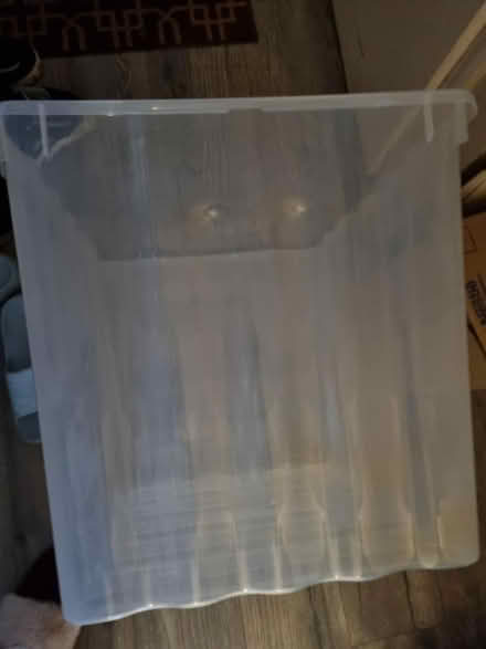 Photo of free Large plastic storage box (no lid) (Shirley, Croydon) #3