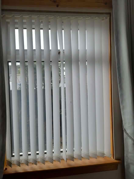 Photo of free Vertical Venetian Blinds (Mortonhall EH17) #1