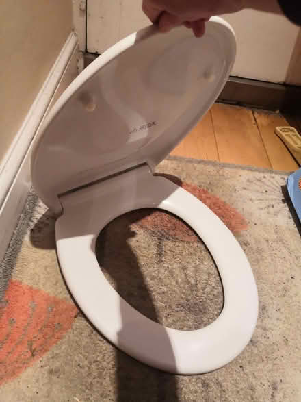 Photo of free White toilet seat (Grandpont OX1) #2