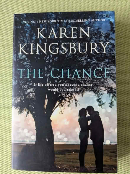 Photo of free The Chance Book (Beulah Hill SE19) #1