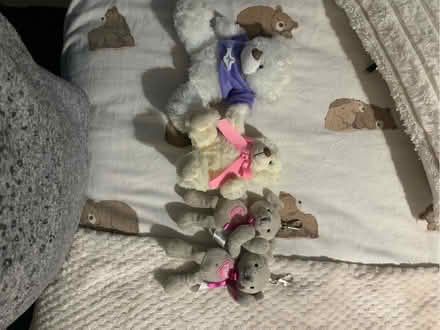 Photo of free Small Soft Toys (Colney Hatch N10) #1