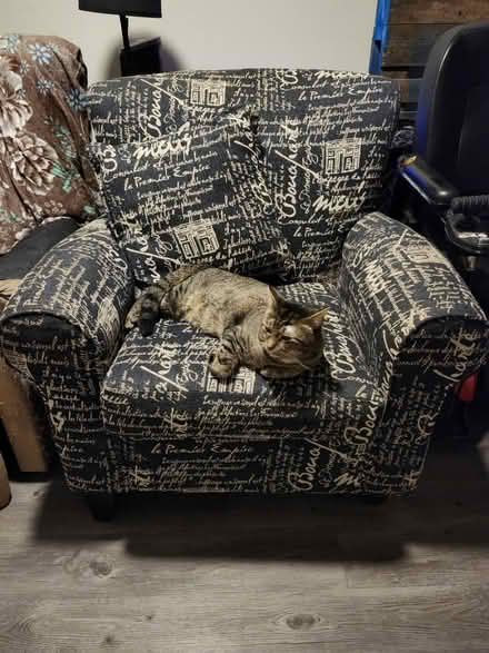 Photo of free Armchair - cat not included (76102) #1