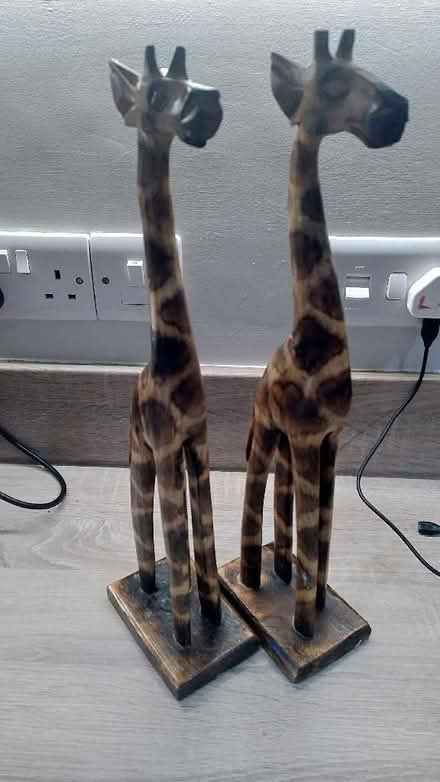 Photo of free Giraffe and Elephant Ornaments (Dursley GL11) #1