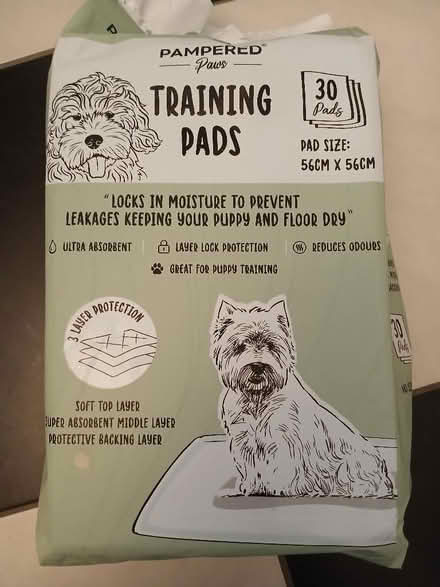 Photo of free Puppy Training Pads (Newhaven EH6) #1
