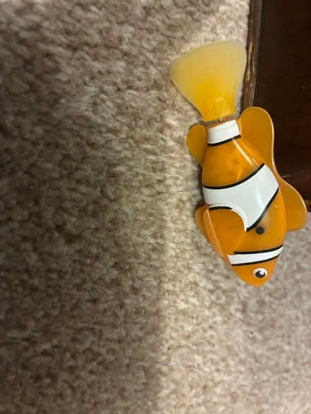 Photo of free Nemo toy fish (West Norwood) #1