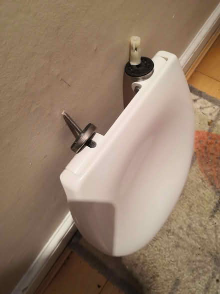 Photo of free White toilet seat (Grandpont OX1) #1