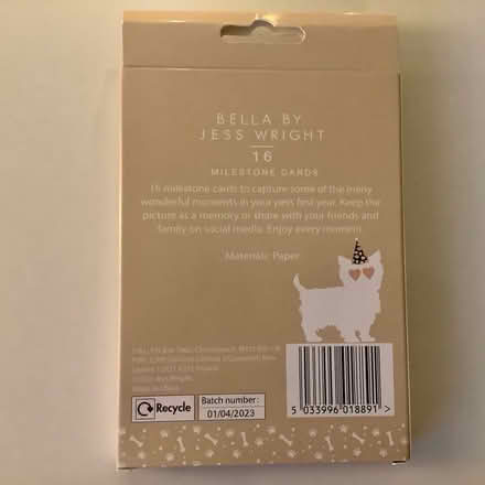 Photo of free Dog’s 1st yr . 16 milestone cards (RH15) #2