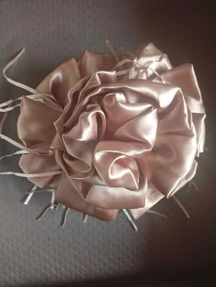 Photo of free Fancy hair clip (East London) #1
