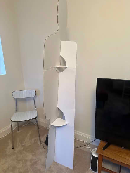 Photo of free 6 ft Nic Cage cardboard cutout (Chiswick, W4) #2