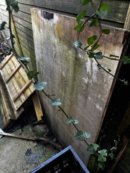 Photo of free Wood for Kindling / DIY Use (TN2 3HT) #2