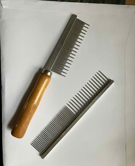 Photo of free Cat combs (Bisley Road GL5) #1
