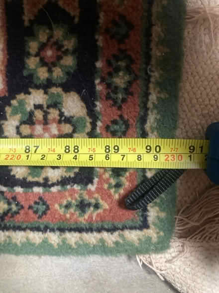Photo of free Large green rug (Seven sisters near overground) #4